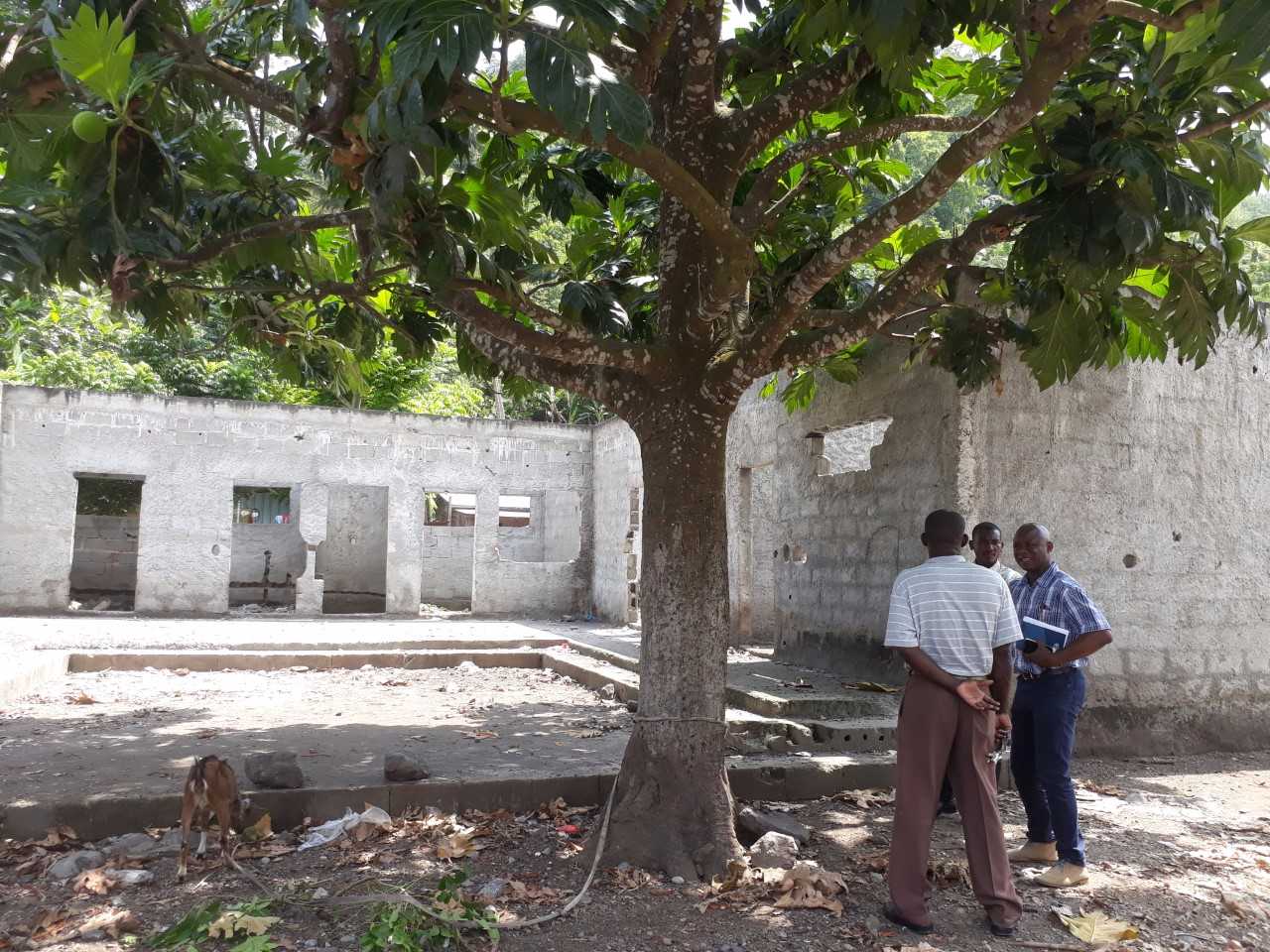 Un Tetto Per La Scuola Di Sao Tome Principe
